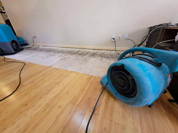 Professional Water Damage Repair technician working in Hegins, PA